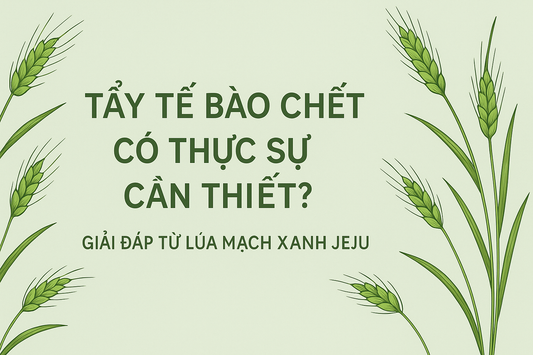 Tẩy Tế Bào Chết Có Thật Sự Cần Thiết? Câu Trả Lời Từ Lúa Mạch Xanh Jeju