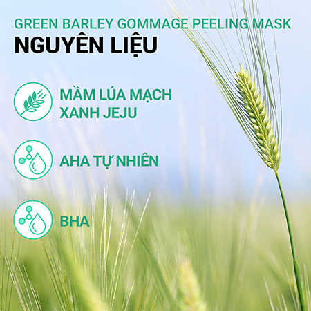 Mặt Nạ Tẩy Tế Bào Chết Innisfree Lúa Mạch Xanh 120ml - Sạch Da, Sáng Mịn